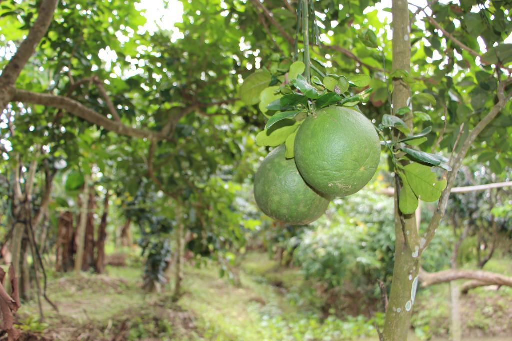 Gite Nam Hien Mekong Cho Lach Exterior foto
